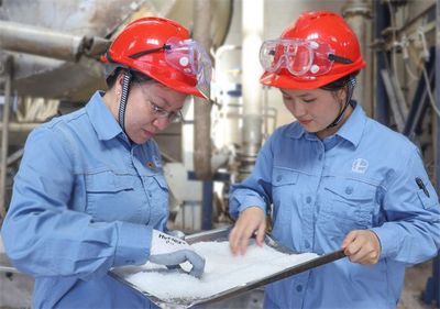 中國石化精細(xì)化工產(chǎn)品專列啟程歐洲，新材料研發(fā)驅(qū)動全球市場新機(jī)遇