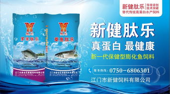水車?yán)疚r市寒，暴雨突襲珠三角市場慘淡